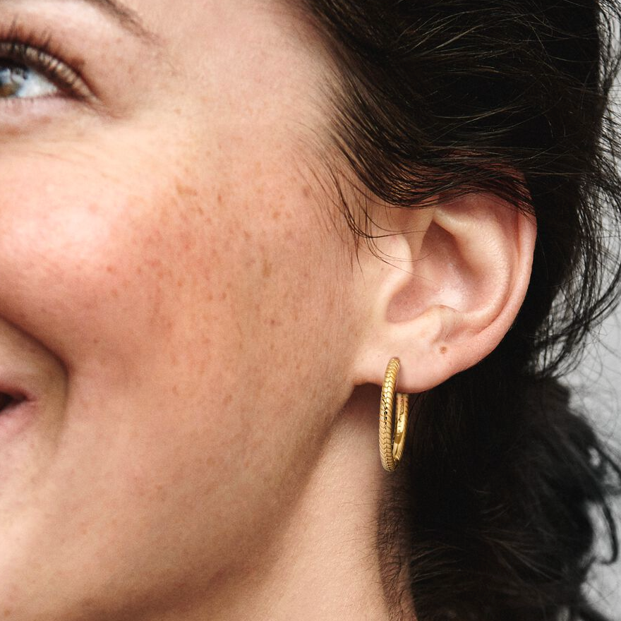 Pandora Moments charm øreringer, store