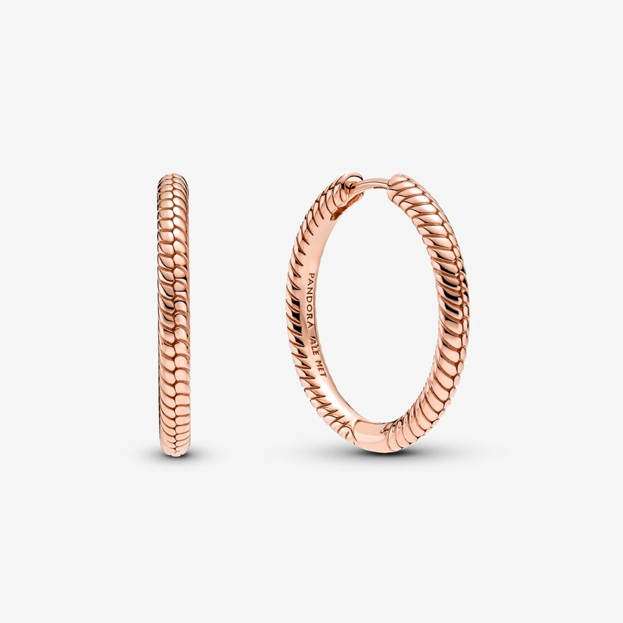 Pandora Moments charm øreringer, store
