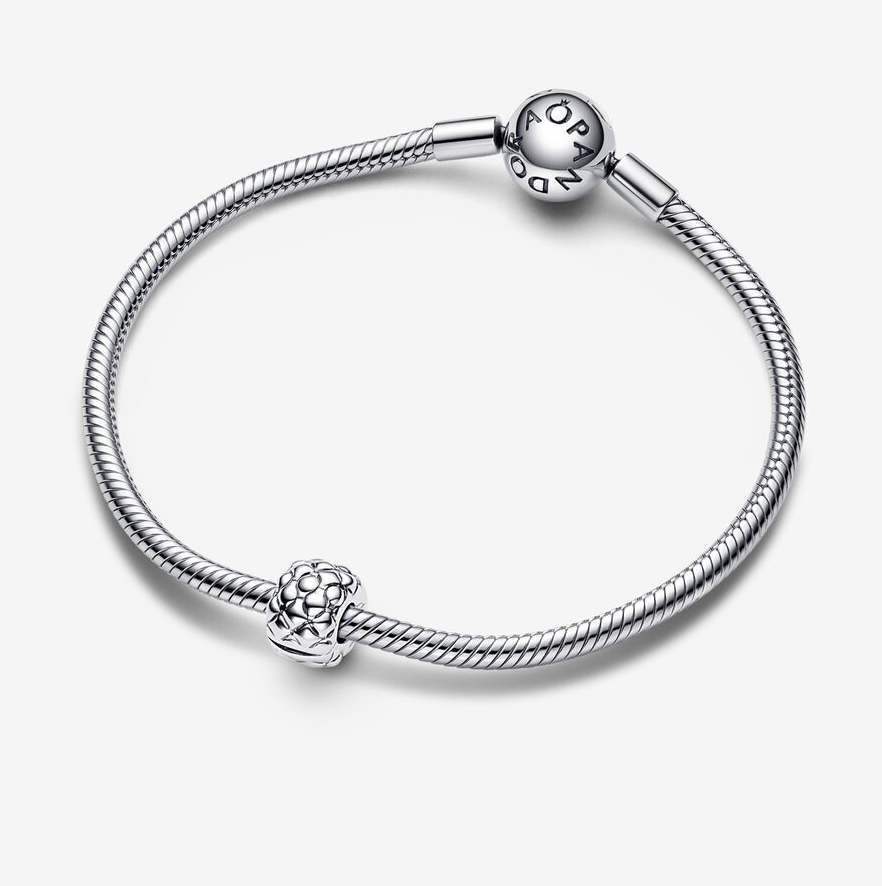 Pandora klemmecharm med nagler