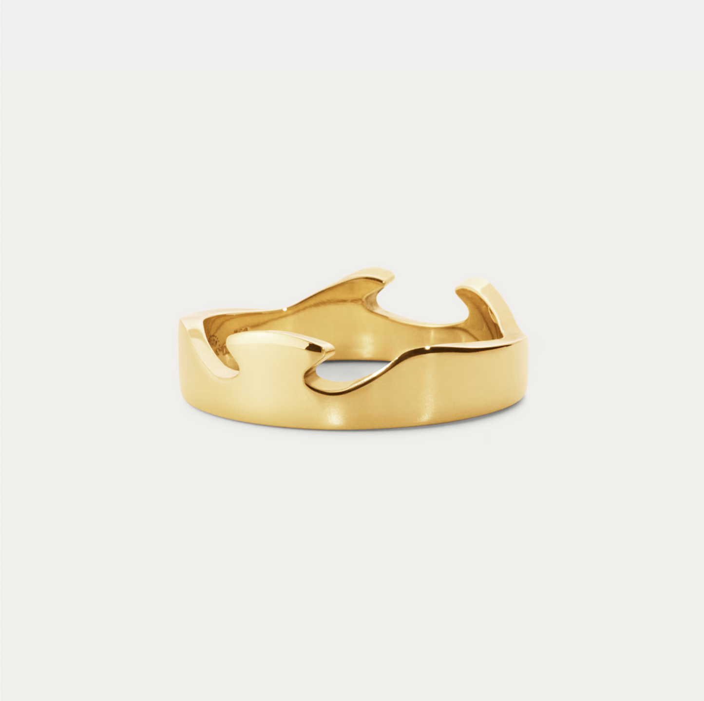 Georg Jensen Fusion endering