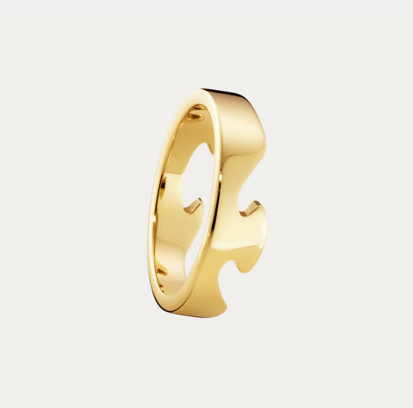 Georg Jensen Fusion endering