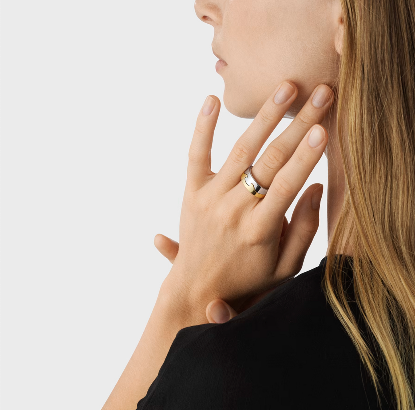 Georg Jensen Fusion endering