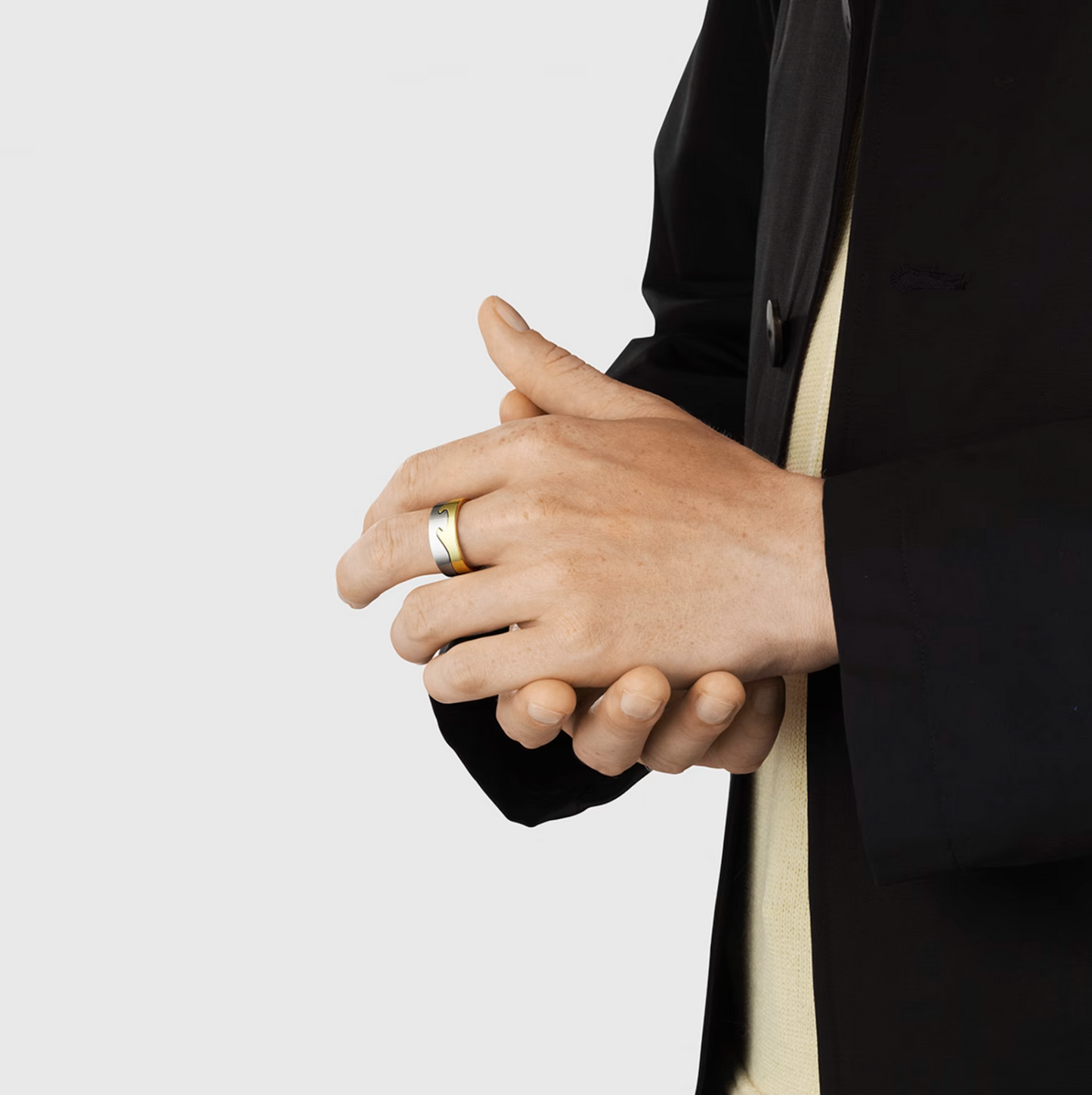 Georg Jensen Fusion endering