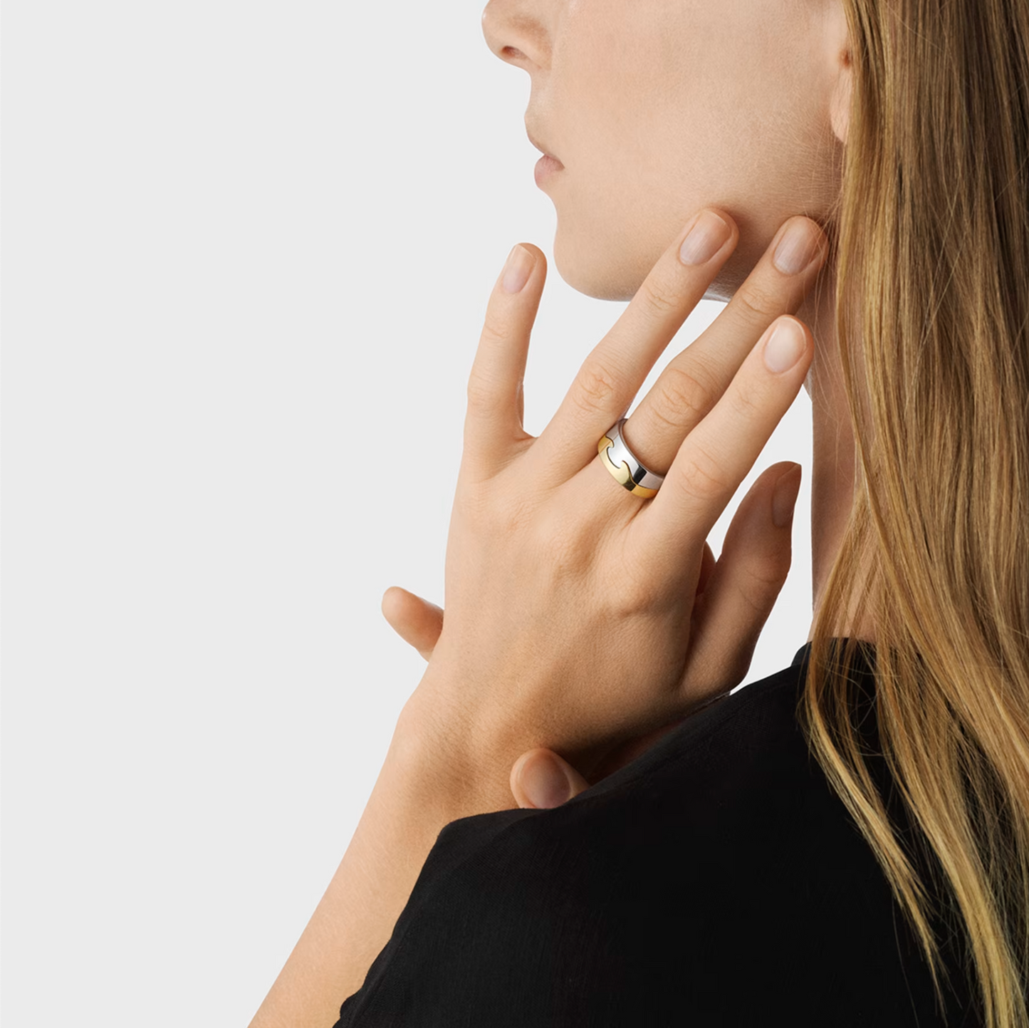 Georg Jensen Fusion endering